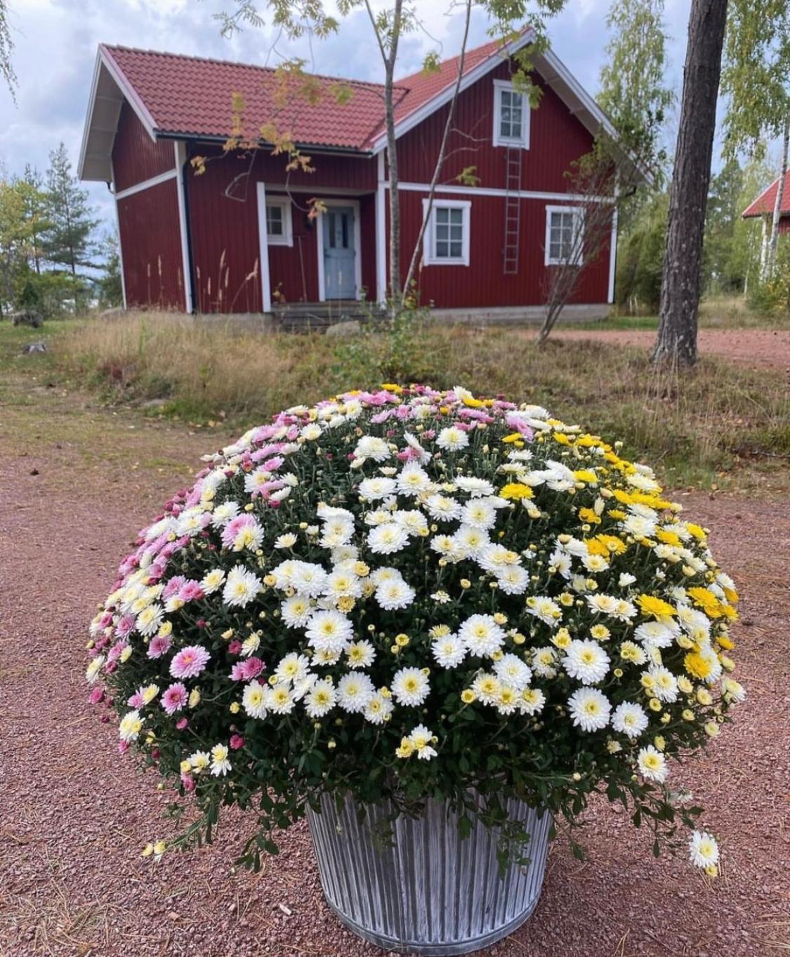 Norroe Holiday Village Bamböle Buitenkant foto